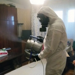 Дезинфекция от клопов в Горках-10