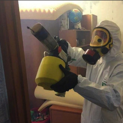 Уничтожение клопов в квартире. Горки-10